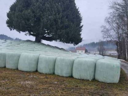 Bild 2:Silageballen