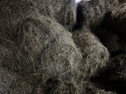 Bild 5:Heurundballen