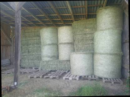 Bild 3:Heuballen 2025