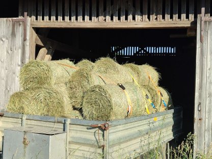 Kleinballen Heu