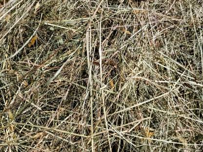 Bild 3:Bio Heurundballen