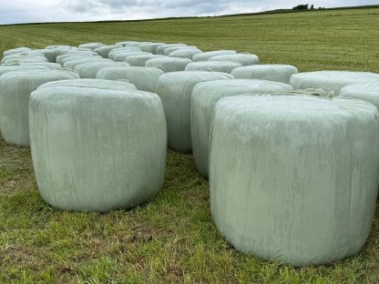 Bild 3:BIO Silageballen 1. Schnitt
