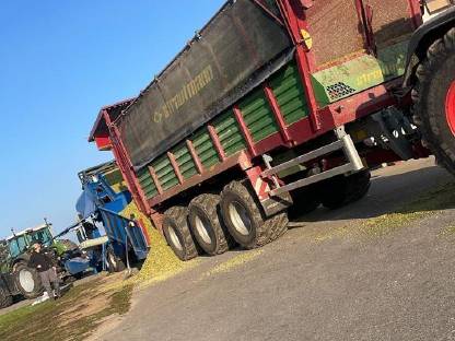 Bild 4:Maisballen zu verkaufen