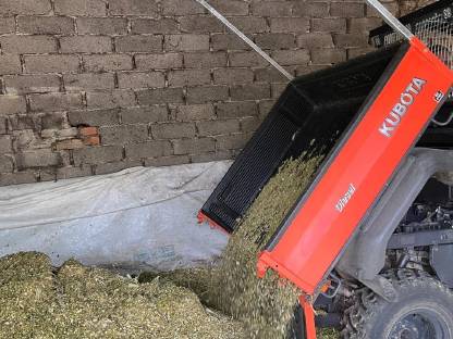 Bild 5:Maisballen zu verkaufen