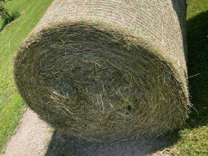 Heuballen 1. Schnitt 2025, 1,20 m Ballen geschnitten