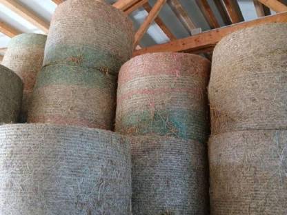 Bild 2:Pferdeheu, Heuballen