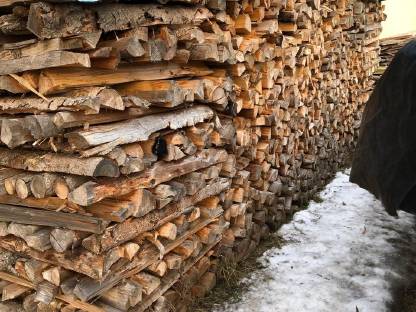 Bild 3:Brennholz Fichte und Buche