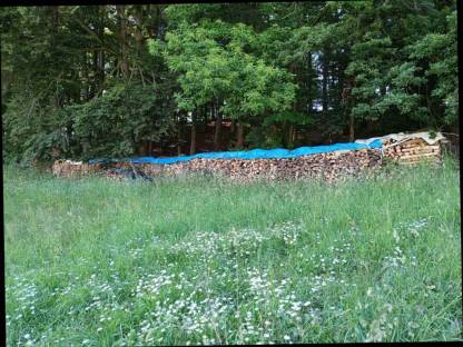 Brennholz Buche/Eiche