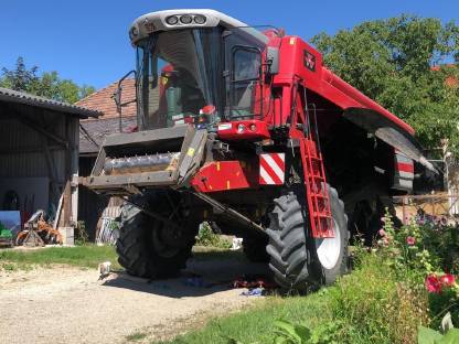 Bild 3:Massey Ferguson Beta 7270 AL-4