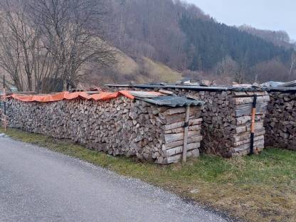 Bio Buchenholz