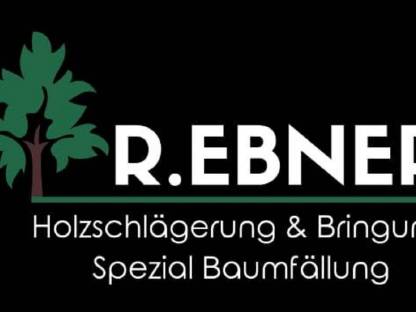 Baumfällung, Heckenschnitt uvm.
