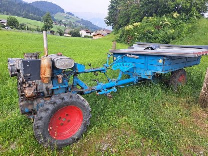 Bild 8:Oldtimertraktoren zu verkaufen