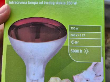 Bild 6:Infrarot-Wärmelampen