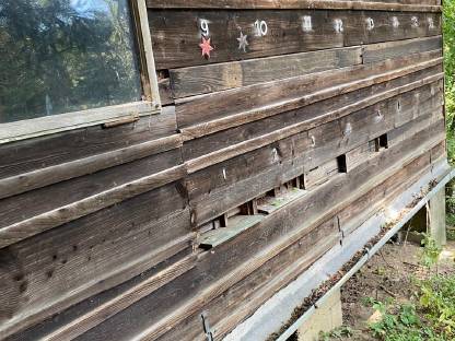 Kostenlos Bienenhaus zu nutzen
