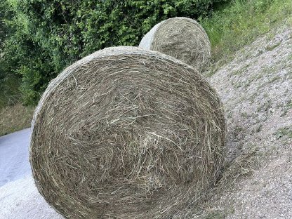 Heu