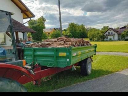 Hartholz Nussbaum trocken