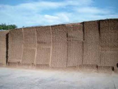 Biete Maissilage 500 t bis 1.000 t