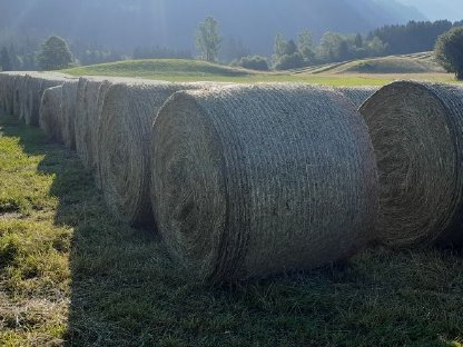 Bio-Heu mit Zertifikat