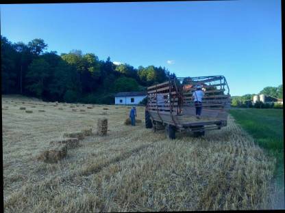 Bild 2:Strohballen klein