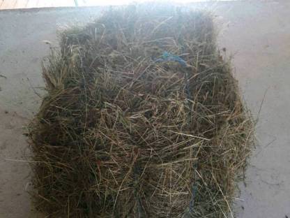 Bild 2:Heu in Kleinballen