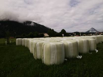 Maissilage Ballen