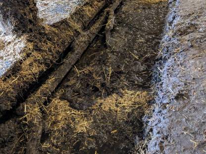 Bild 3:Schubstangenentmistung