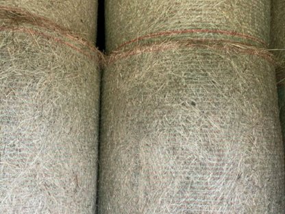 Bild 2:BIO HEU Rundballen