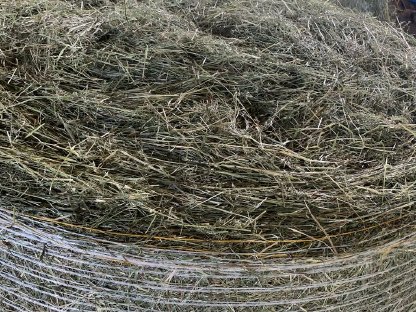 Heuballen Grummet frisch gepresst