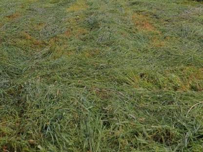 Bio Silage Rundballen