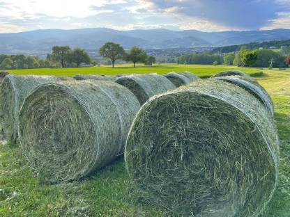 Siloballen