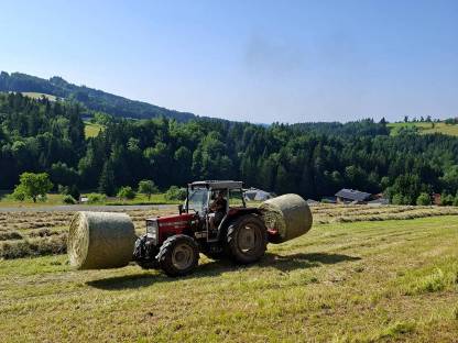 Bild 3:1. Schnitt Heuballen 2024