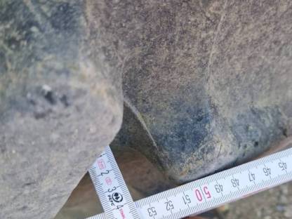 Bild 2:Reifen Trelleborg TM 700