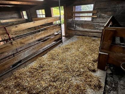 Bild 6:Neuer Preis! Einstellplatz für Pferd oder Pony
