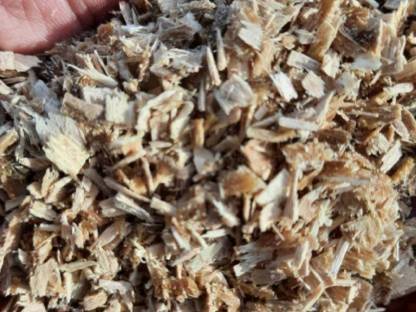 Bild 3:Buchenspäne