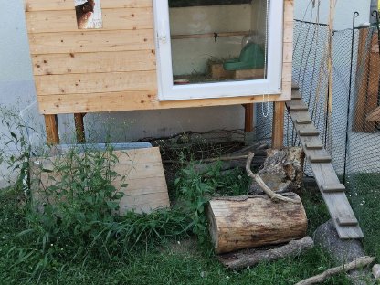 Hühnerliebhaber sucht Verstärkung