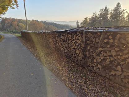 Verkaufe Brennholz (Hartholz)