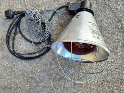 Bild 2:Infrarot-Wärmelampen