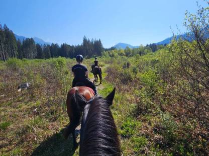 Bild 3:Sommerweide Platz