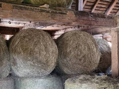 Heuballen 1. Schnitt 2024