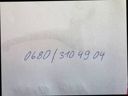 Bild 2:Bio Kalb / Jungkalbin (w)