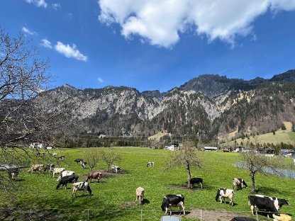 Suche Landwirtschaft