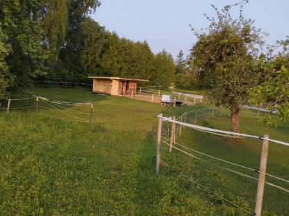 Offenstall oder Boxen frei ab Juli/August