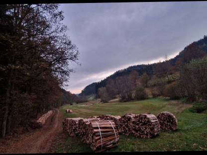 Bild 3:Brennholz Buche Bündel