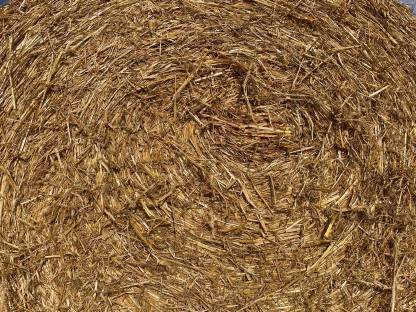 Bild 3:Stroh-Rundballen Ernte 2025