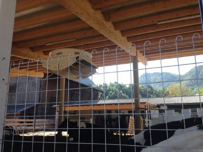 Bild 3:TopCool Lüfter Aktion Österreich