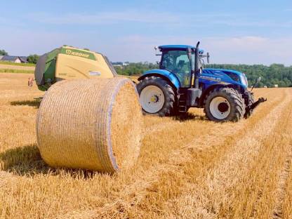 Bild 5:Strohrundballen - kurz geschnitten