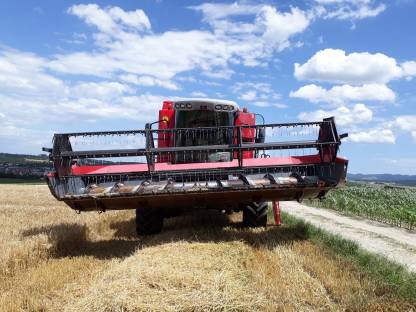 Bild 2:Massey Ferguson Beta 7270 AL-4