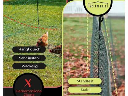 Bild 3:Geflügelzaun