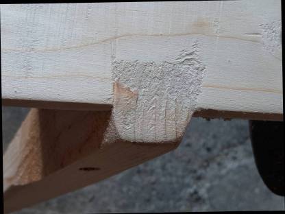 Bild 3:Holzböcke Schwalbenschwanz