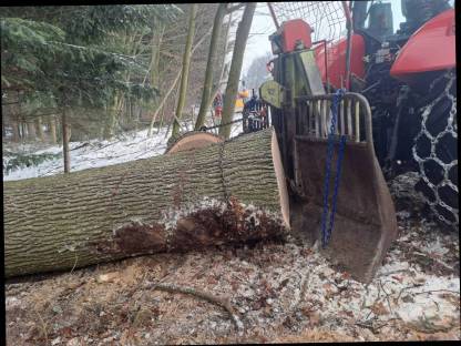 Bild 3:Forstarbeiten